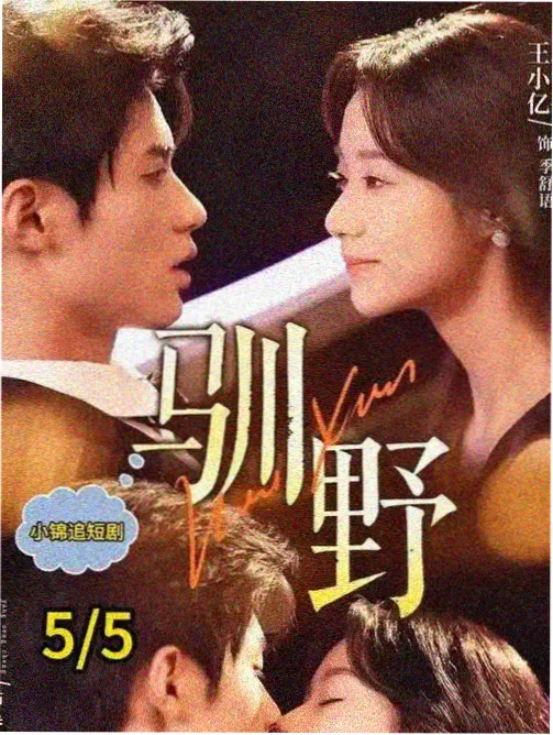 剧集条目 岩灰底色的分集结构草图